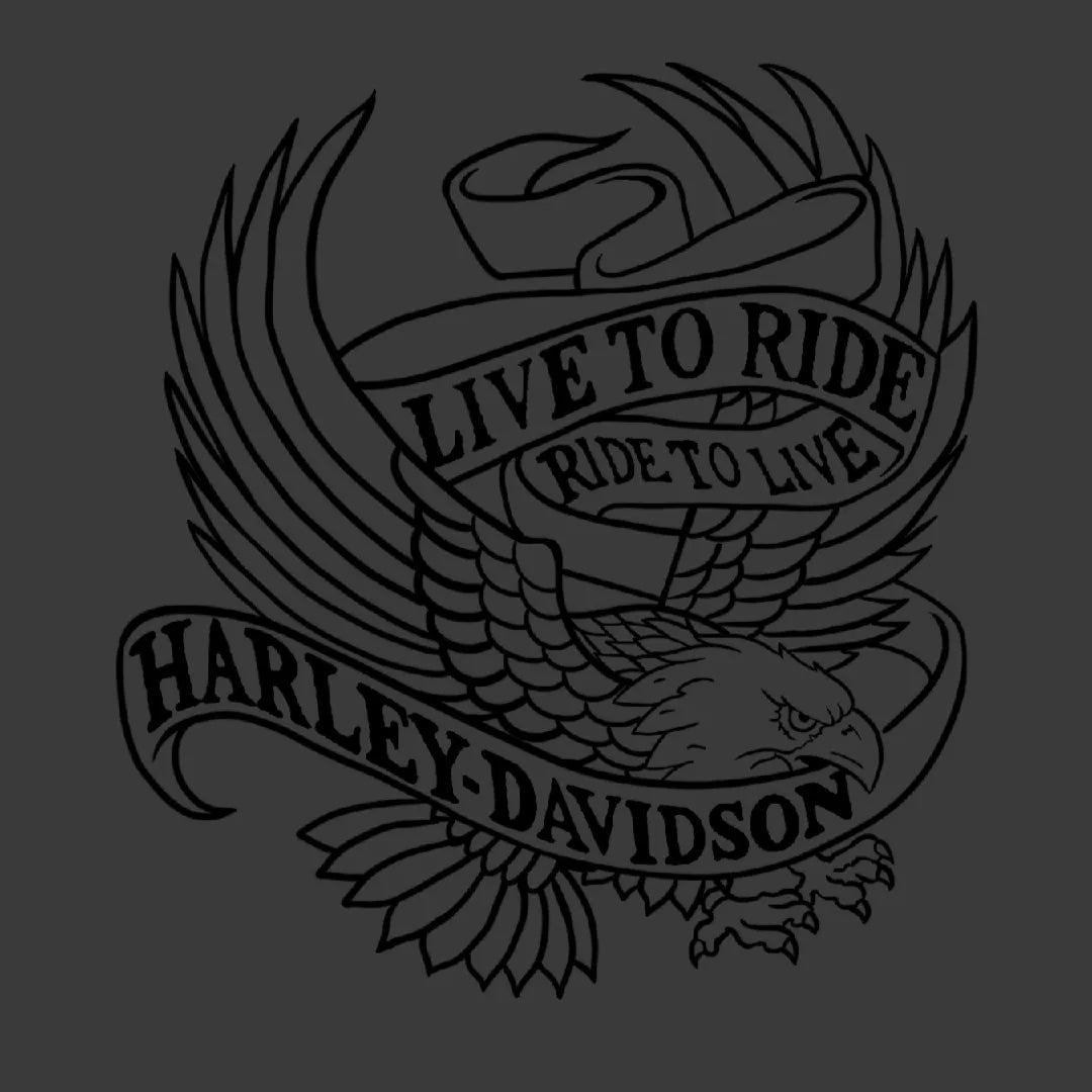 HD Eagle (Digital Download)