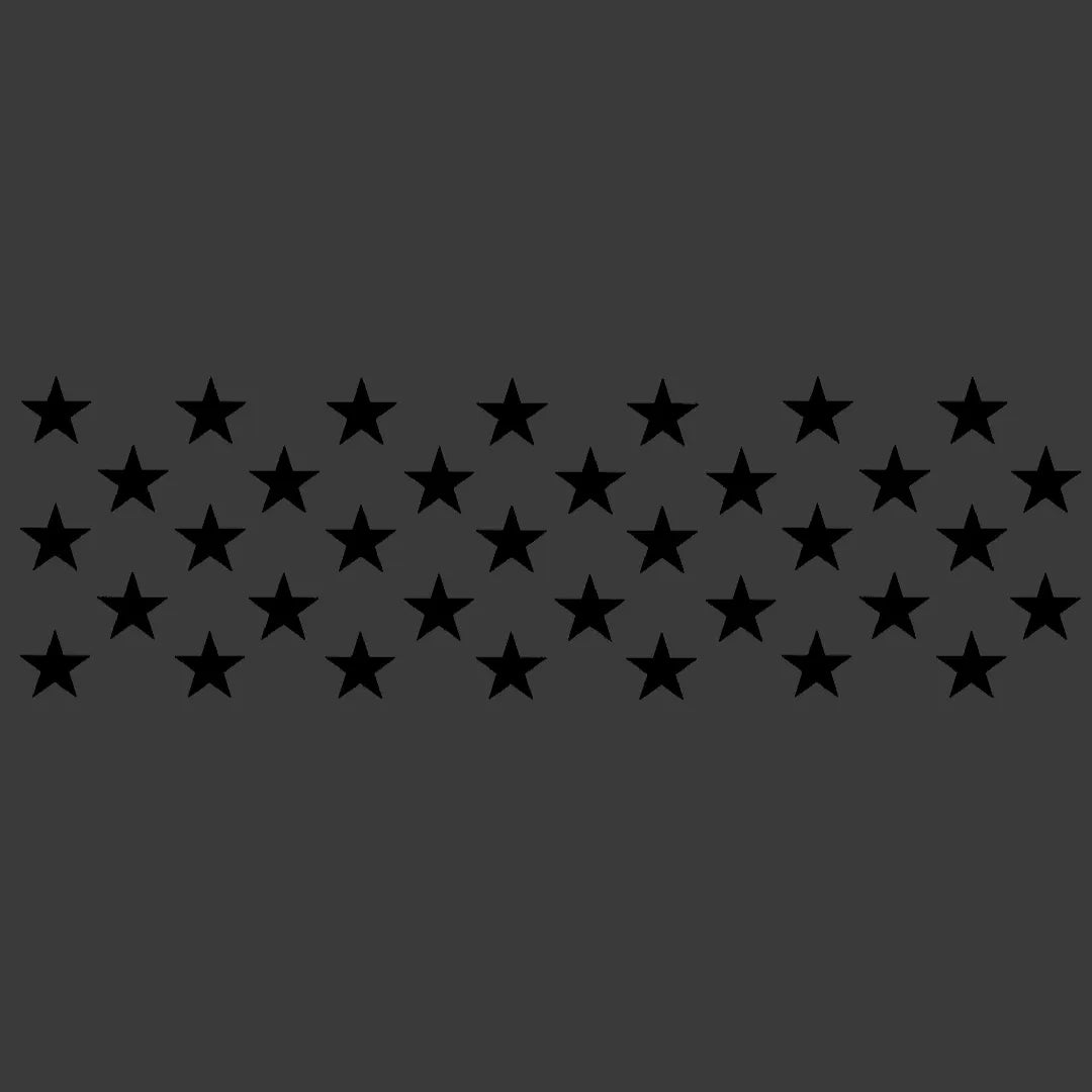 American Flag Stars (from Distressed Flag video) (Digital Download)